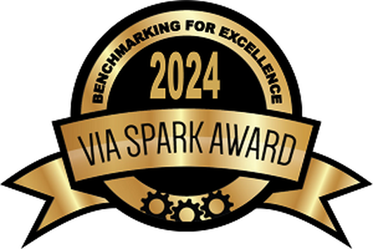 VIA Spark Award 2024